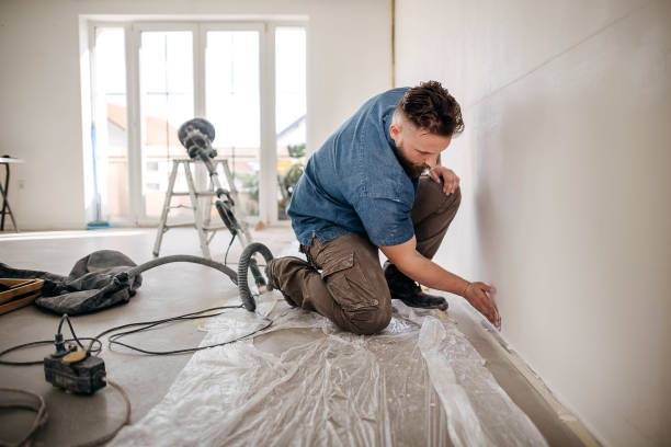 Professional Dry wall and painting in Harrisville, PA